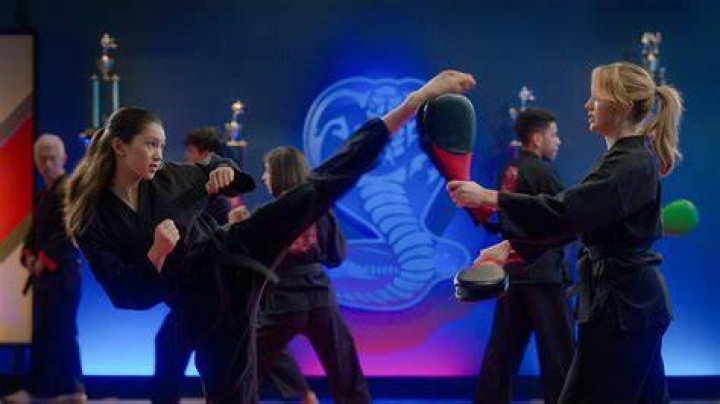 Cobra Kai Archives | The Nerd Stash %