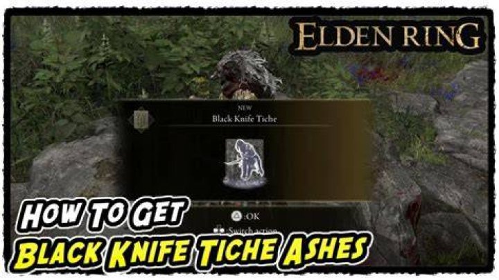 Elden Ring: How to Get the Black Knife Tiche Ashes