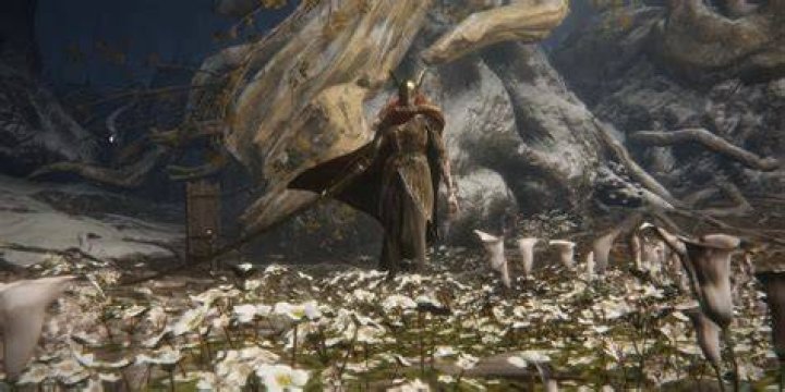 Elden Ring: What is the Elden Beast's Weakness?