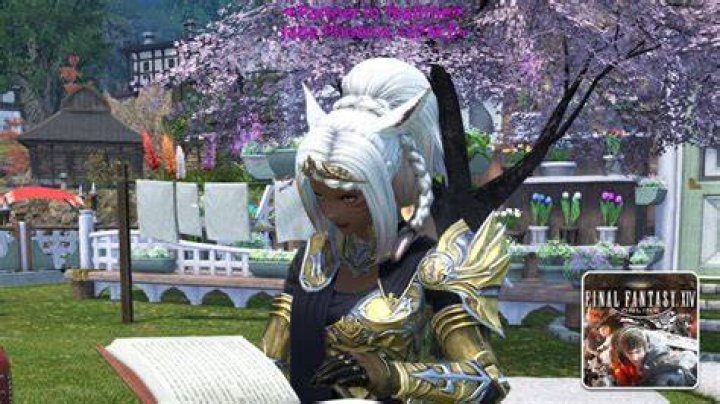 FFXIV 6.5 MSQ