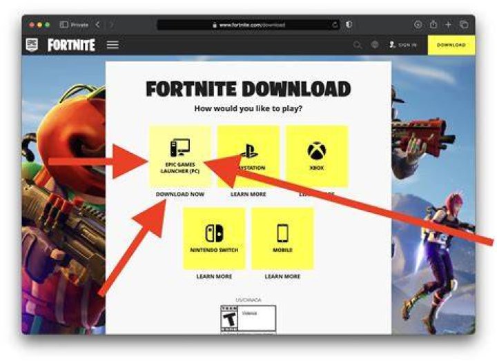 How To Get Fortnite X Coachella Skins and Cosmetics