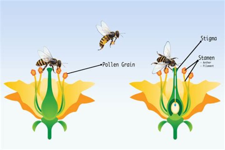 How To Get (& Use) Pollen in V Rising