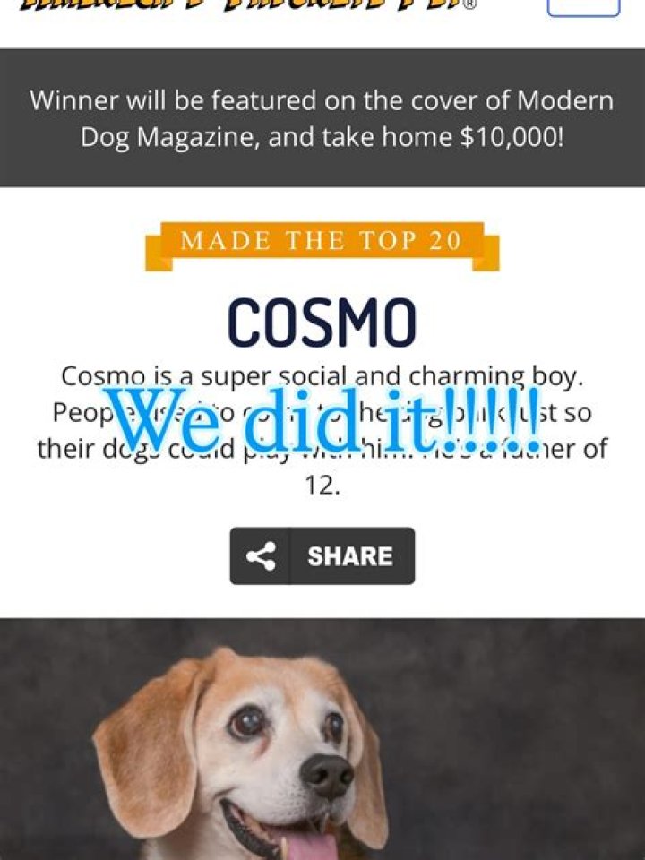 How to Help Cosmo in&nbsp;Marvel&rsquo;s Guardians of the Galaxy