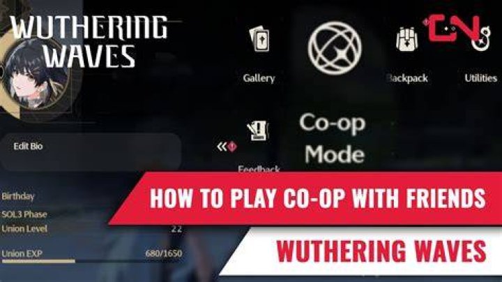 How to play co-op with friends RUNE II