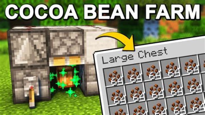 Minecraft Guide: How to Farm Cocoa Beans