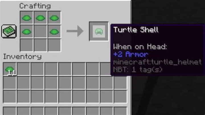 Minecraft: How to Get Turtle Shells