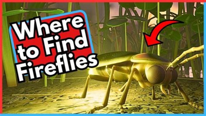 where to find fireflies in fortnite chapter 3 season 4